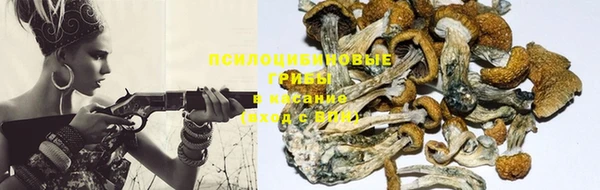 mix Алексин