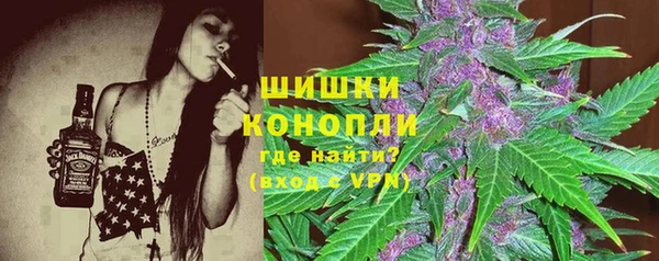 ешки Алзамай